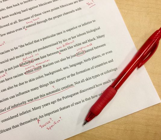 How To Edit Papers Like A Professional Post image