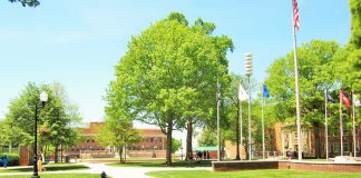 Top Things To Do Right After Moving To The Campus Post image